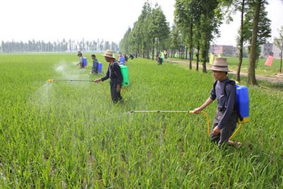 施用农药的八大误区