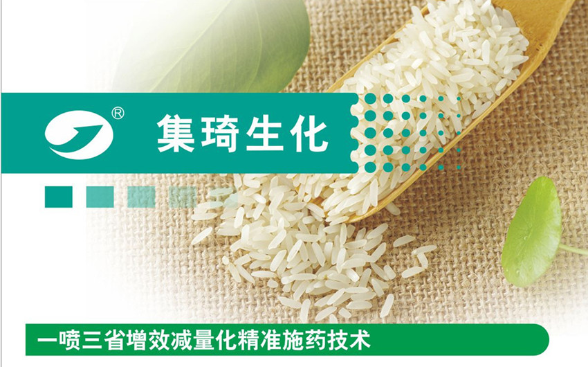 一喷三省增效减量化精准施药技术在水稻上的应用