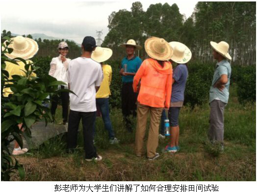 记实习生田间培训