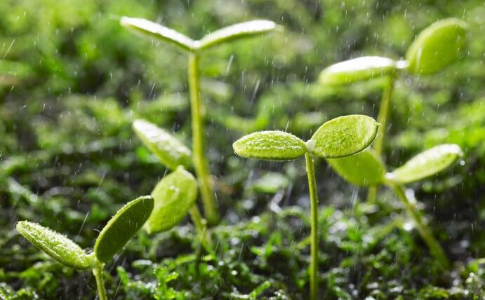 动态 | 生物刺激剂多重效果大揭秘，可减少百万吨氮肥的投入！